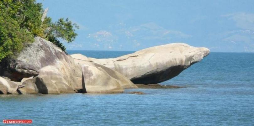 Apto Lindo 2 Dor Piscina Ar Internet 101 A Caraguatatuba Zewnętrze zdjęcie